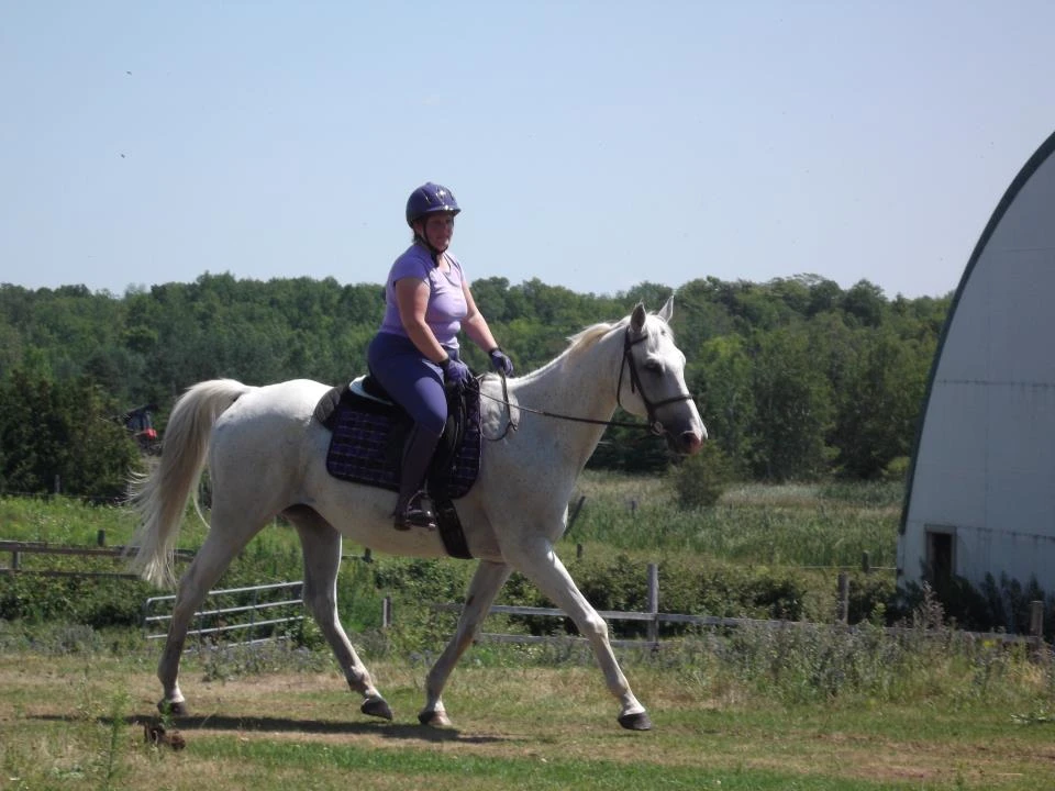 Legacy Equestrian