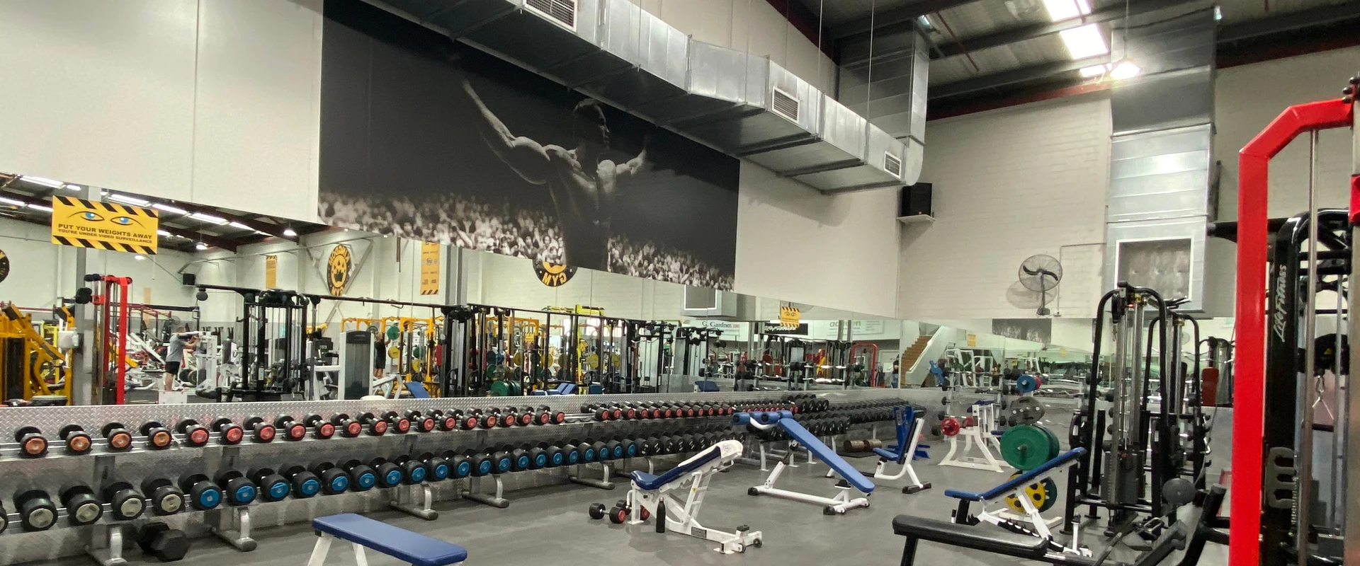 Kingdom Gym
