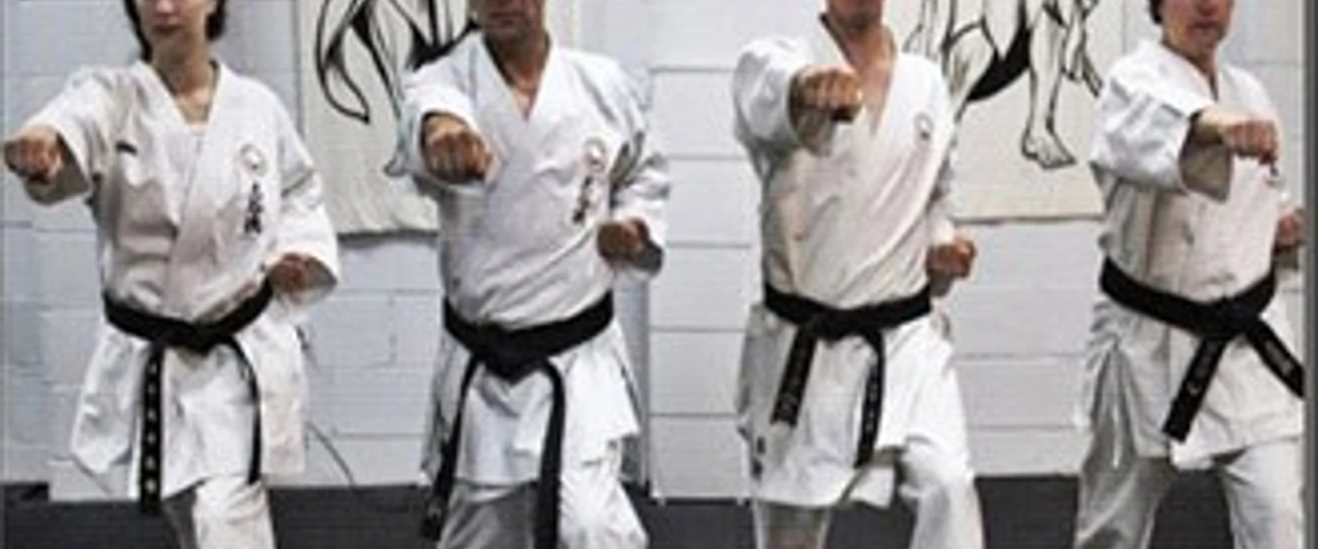 MAYA KARATE ACADEMY