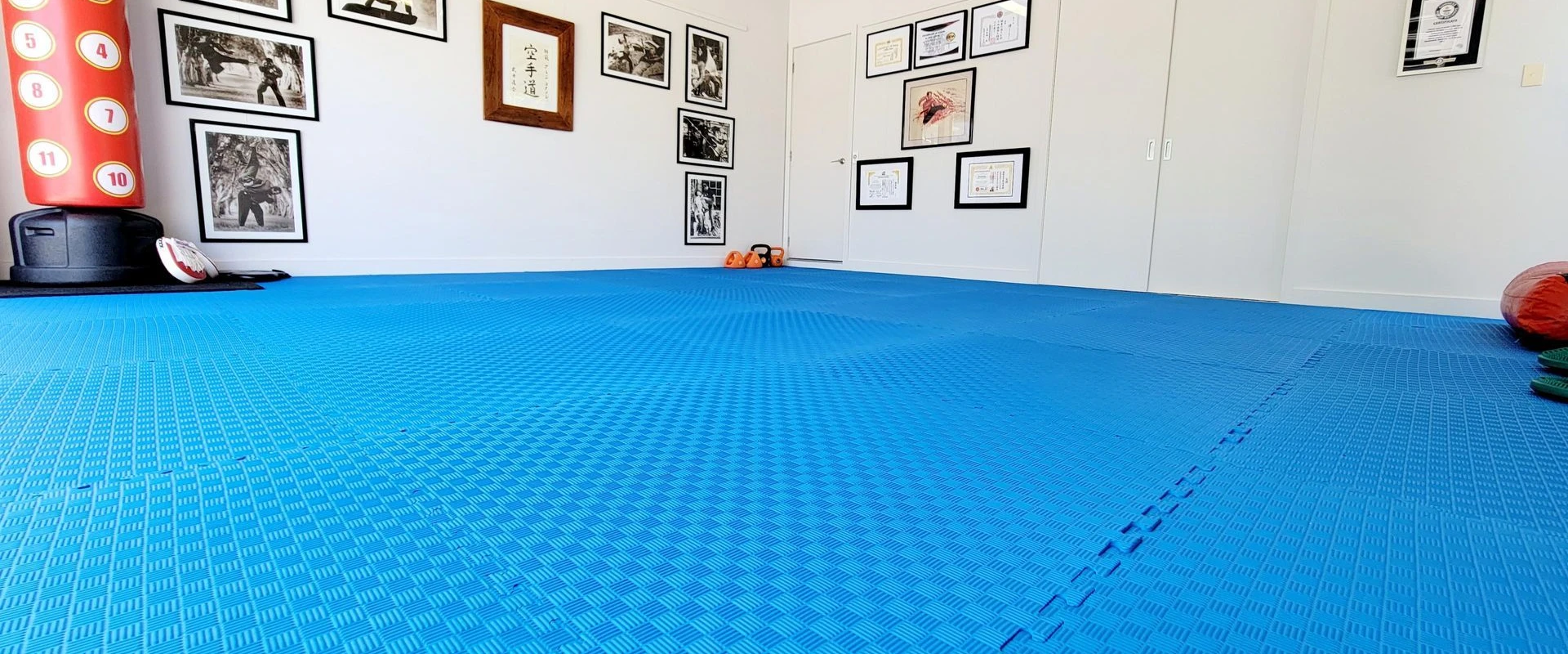 Bushidokai International - Headquarters to a Mixed Martial Arts program for all ages and fitness levels