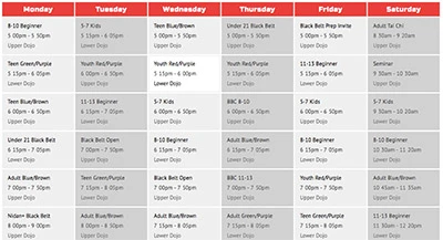 The Mississauga Academy of Martial Arts