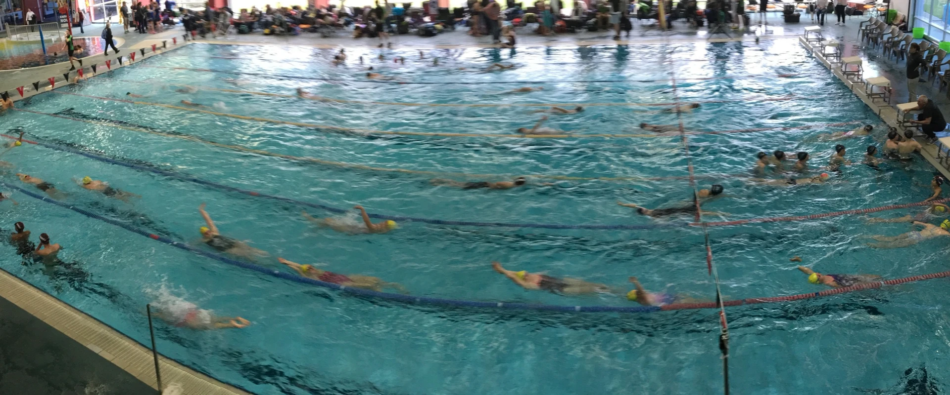 Wangaratta Amateur Swimming Club