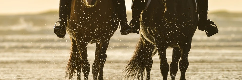 Korfu Reiten