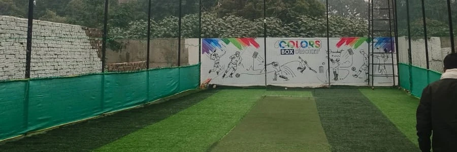 Colors Box Cricket