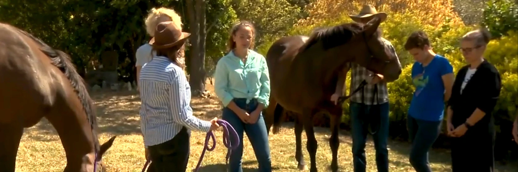 Holistic Equitation