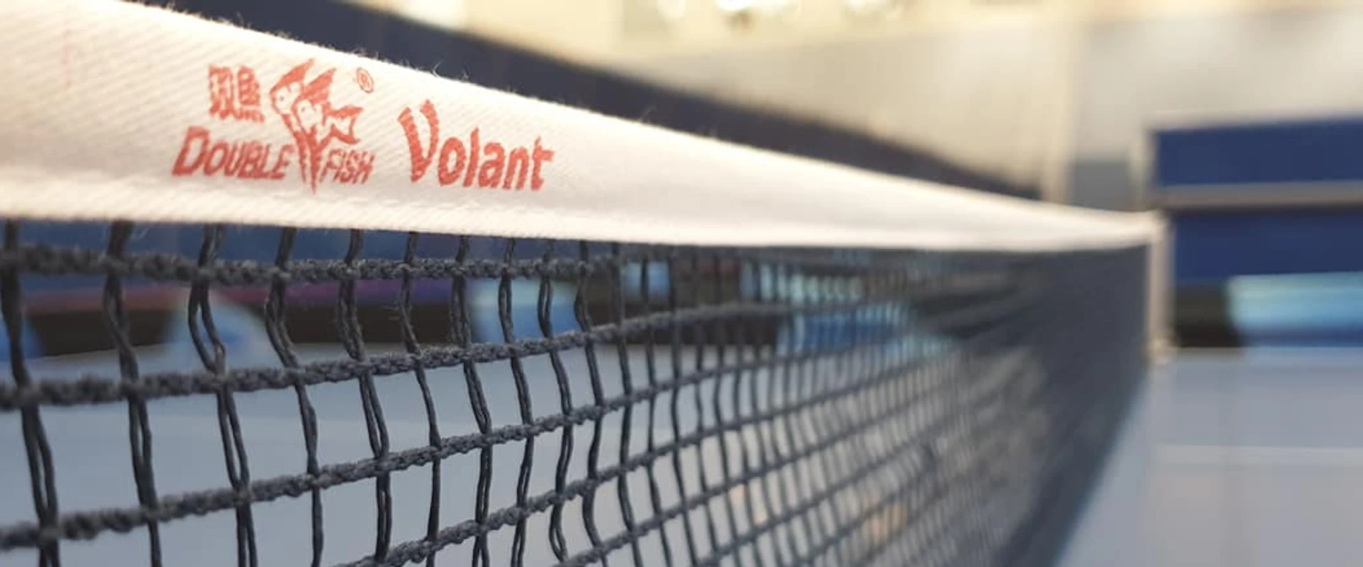 Table Tennis Victoria