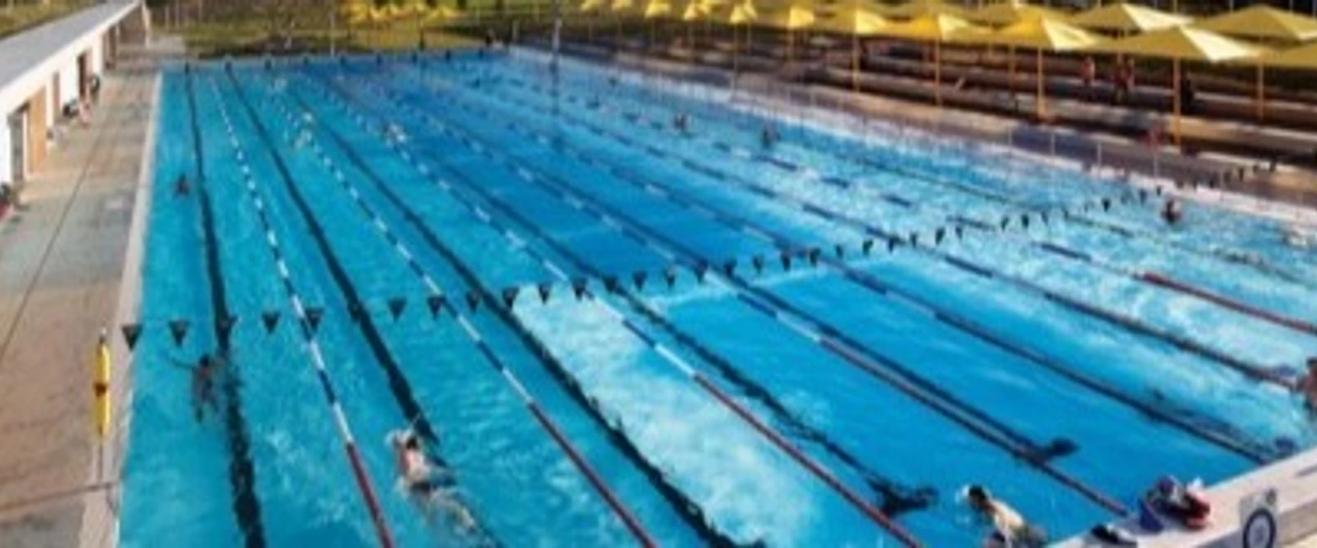 Different Strokes Swimming
