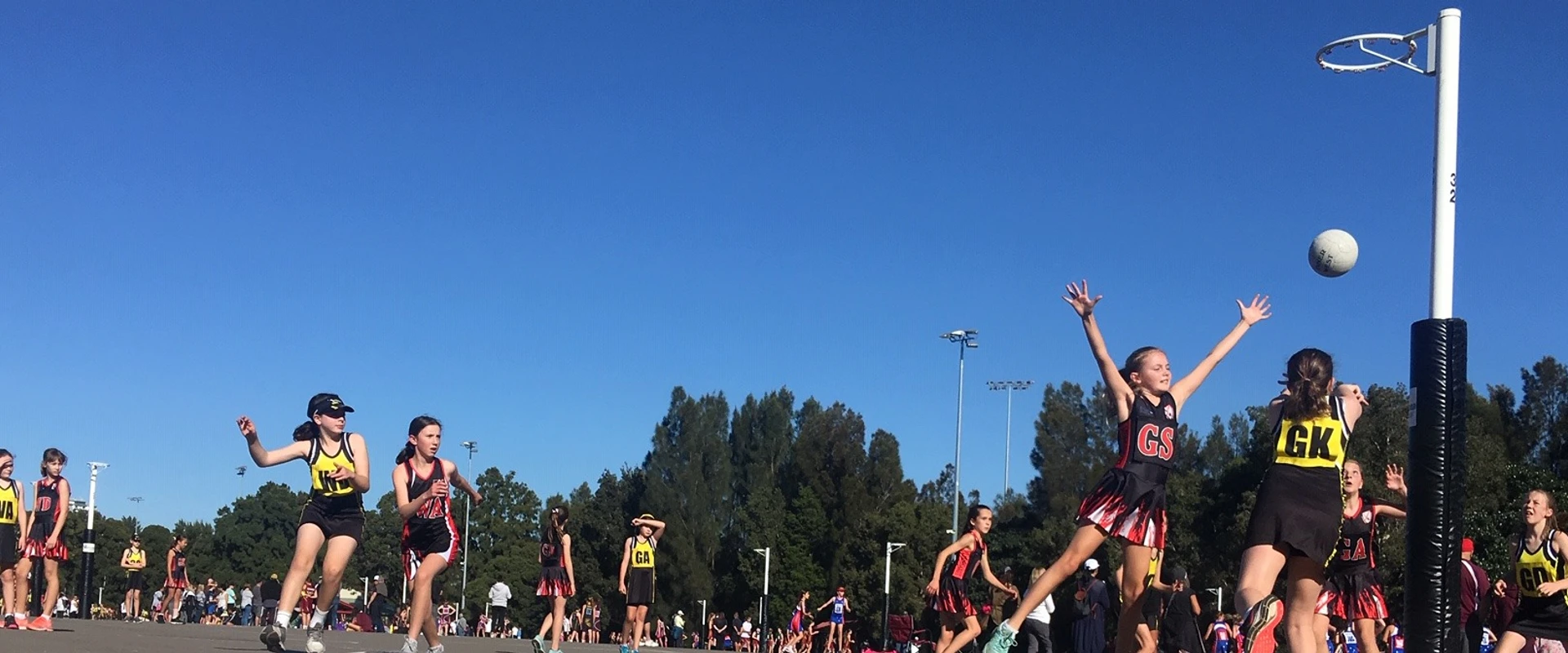 Leichhardt Wanderers Netball Club, Inc.