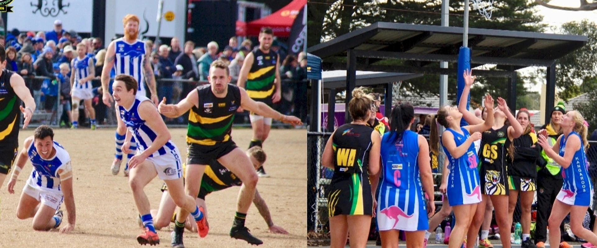 Dromana Football & Netball Club
