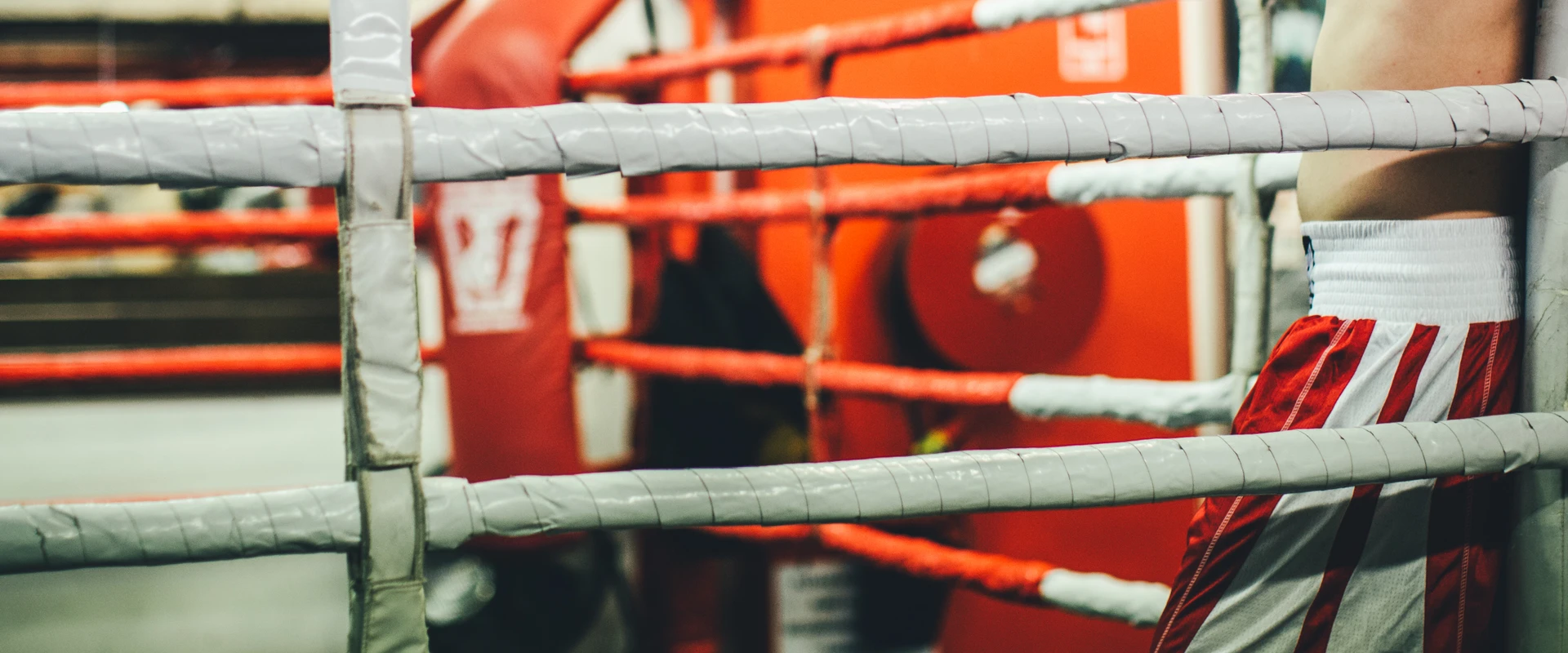 White Collar Boxing & Personal Training