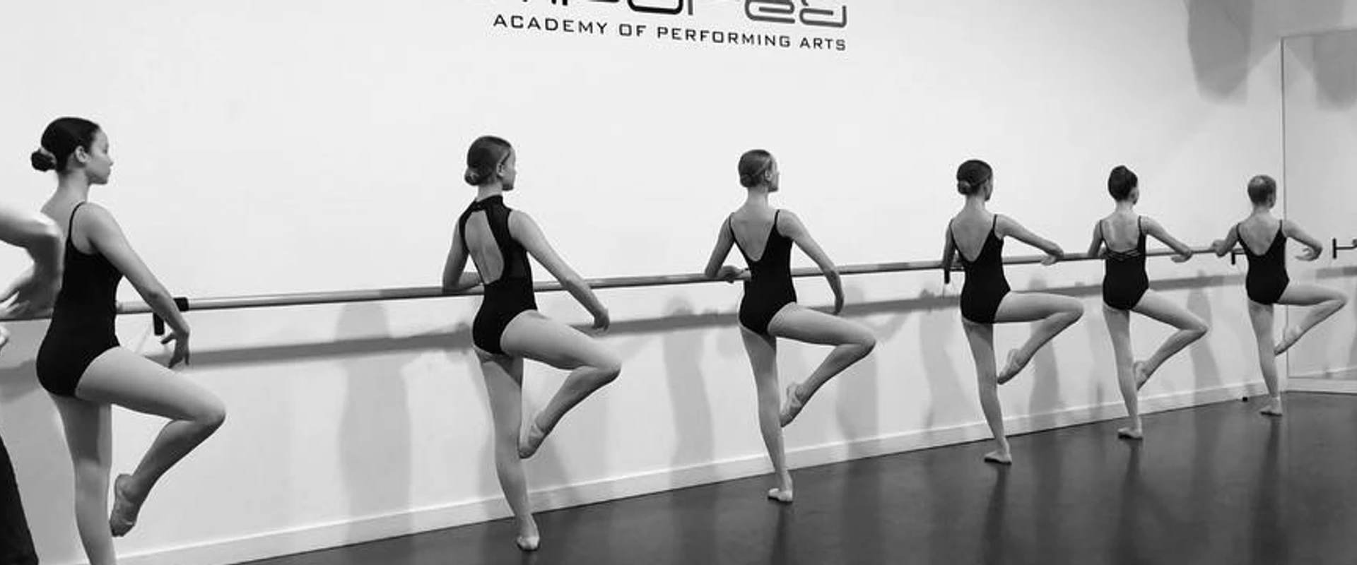 Tempo Red Academy of Performing Arts