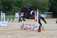 Equestrian Center Academy Arts Chevaleresques