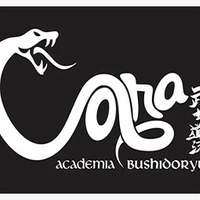Academia Cobra Bushidoryu