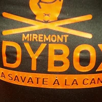 French Boxing - De La Savate À La Canne