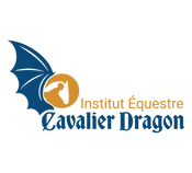 Institute Equestrian Cavalier Dragon