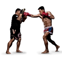 Kamikaze boxing
