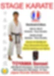 Karate Club D'herblay