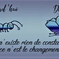 Sabine DUMAS Thérapeute PNL- Hypnose - Aromathérapie/Aromacologie