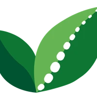 Formation Physiotherapy and Pilates Studio