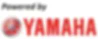 Yamba Fishing And Charters