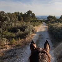 Stud De Lagnes