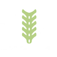 Balance Health Studio