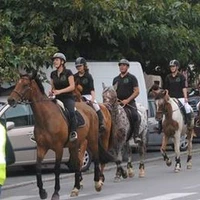 CENTRE EQUESTRE DE LAGRAVADE