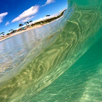 Mollymook Beach Surf School