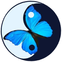 Blue Morpho Edinburgh