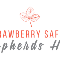 Strawberry Safari Shepherds huts