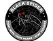 Black Spider Academy