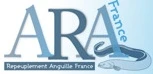 ADAPAEF 44