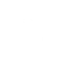 FIT 100