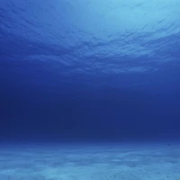 Blownaway Fishing