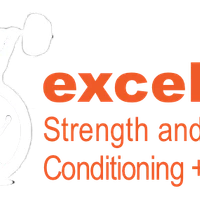 Excel Strength and Conditioning Plus