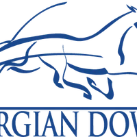 Georgian Downs Ltd