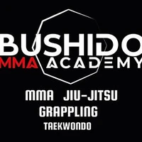 Bushido Académie : MMA, Jiu-jitsu brésilien, baby arts martiaux,