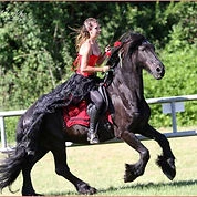 Equi'naturel