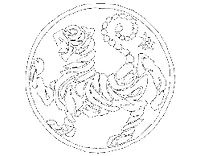 Hampshire Self Protection Martial Arts