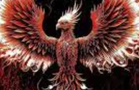 Club de Combat Phnix