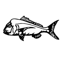 Kiama Charter Service