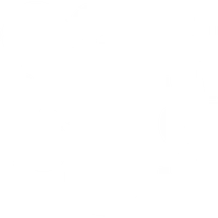 Swarm Studios