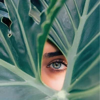 Holistically Healing Haven