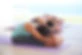 Vicki Lewis Yoga