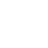 Welshpool Sharks Swimming Club