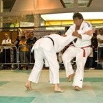 Sreg Judo Mulhouse