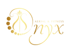 Onyx Aerial & Fitness ~ Newton Abbot