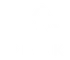 PEAK Results Fitness