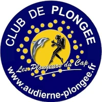 Plongeurs du Cap