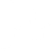 Salsa Attitude